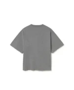 Velour Garments 300 GSM Ash Gray T Shirt (3)