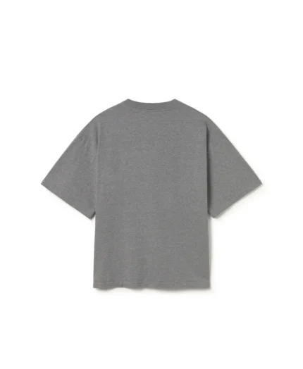 Velour Garments 300 GSM Ash Gray T Shirt (3)